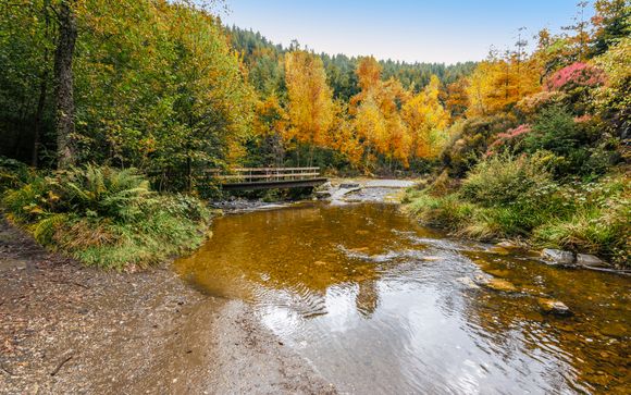 Welkom in ... Houffalize!