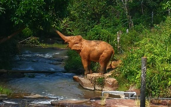 Uw optionele excursies