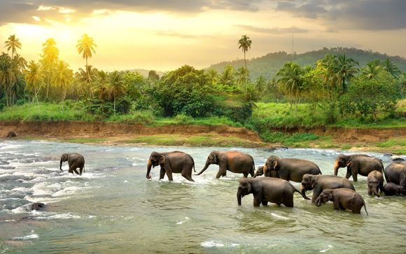 Welkom op ... Sri Lanka en de Malediven! 