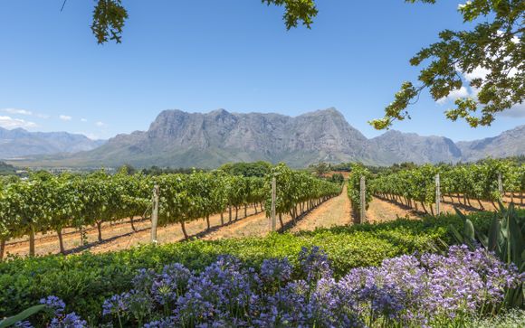 Uw optionele excursies