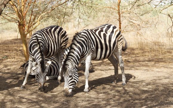 Uw optionele excursies