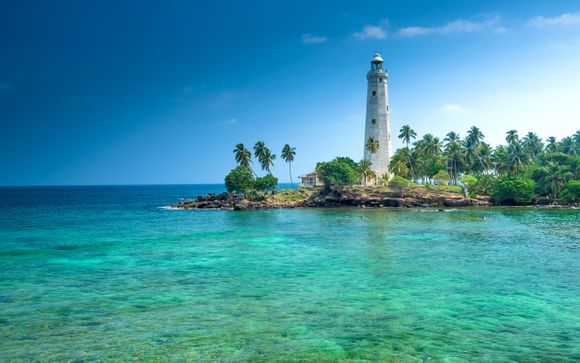 Uw optionele excursies