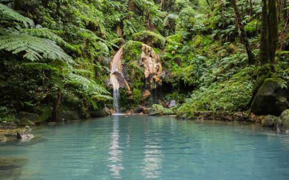 Uw optionele excursies