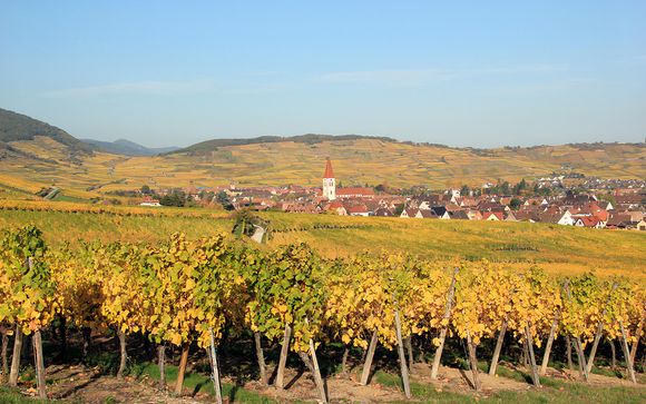 Welkom in... de Elzas!