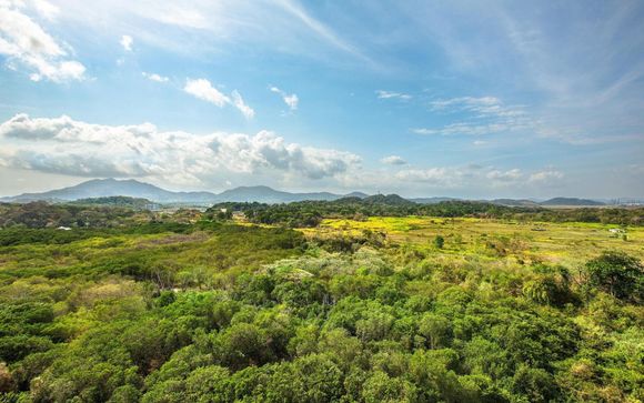 Kies voor een extra optie 