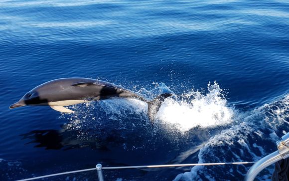 Kies voor een extra optie 