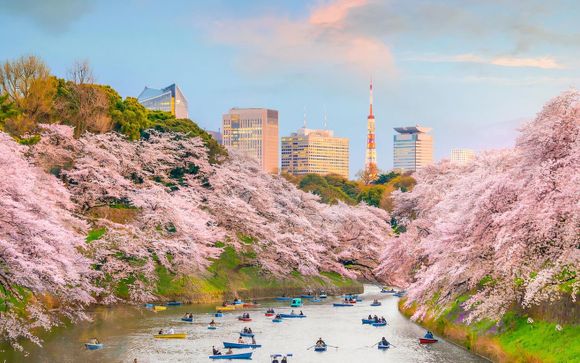 Reisprogramma in Seoul en Tokio