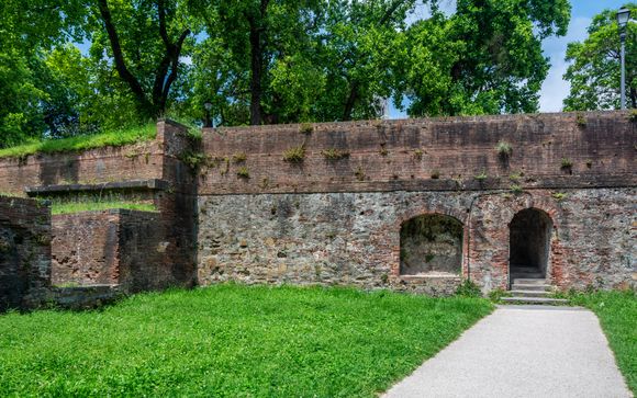 Inbegrepen excursies