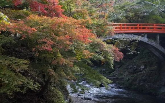 Kies voor een extra optie 