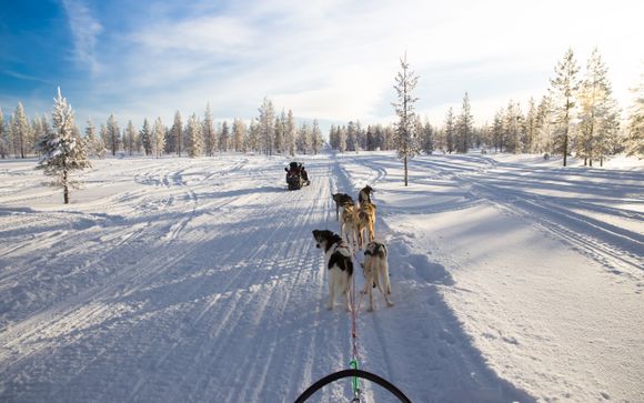 Inbegrepen excursies