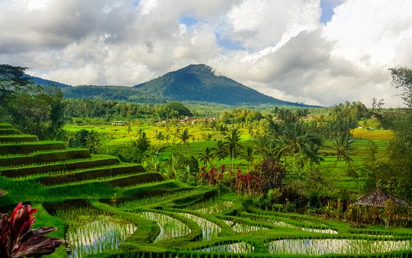 Welkom in... Indonesië en... Doha!