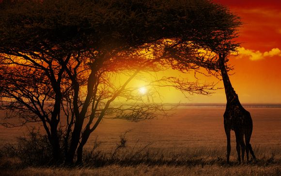 Uw verblijf in een oogopslag