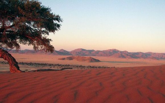 De rondreis in het kort