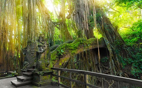 Uw inbegrepen excursies op Bali (voor aanbiedingen met vlucht)