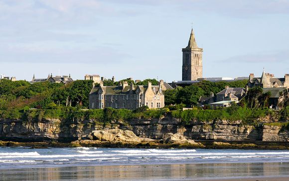 Uw programma in detail