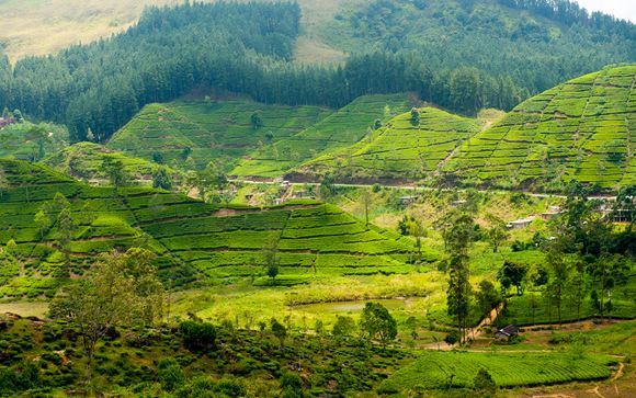 Welkom in... Sri Lanka