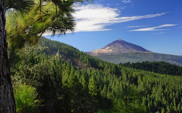 Welkom op... Tenerife