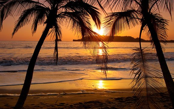 Uw programma van 8 nachten