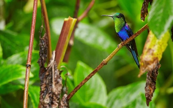 Uw programma van 9 nachten