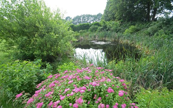 Welkom in... Dwingeloo