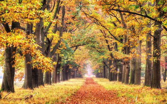 Welkom op... de Veluwe!