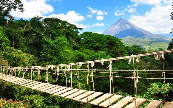 Uw reisprogramma in 7 nachten