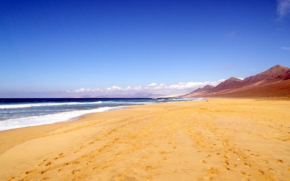 Welkom op ... Fuerteventura!