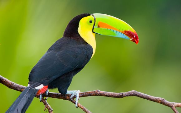 Welkom in ... Costa Rica!