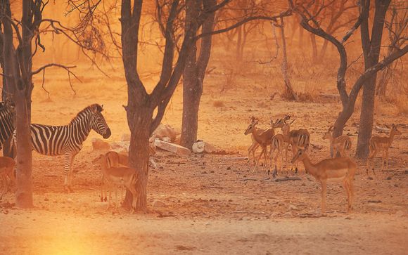 Welkom in ... Zuid-Afrika!