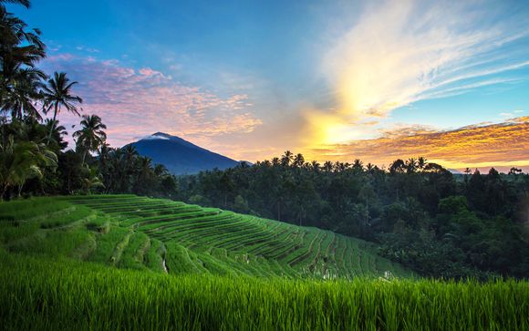 Welkom op ... Bali!