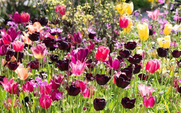 Welkom in...Noordwijk