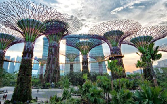 Extra opties in Singapore