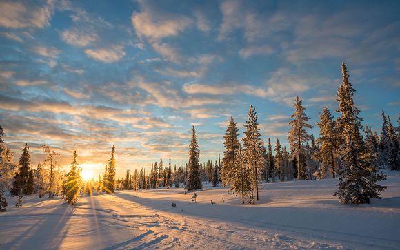 Uw programma voor 4 dagen/3 nachten