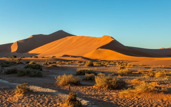 Your itinerary in detail