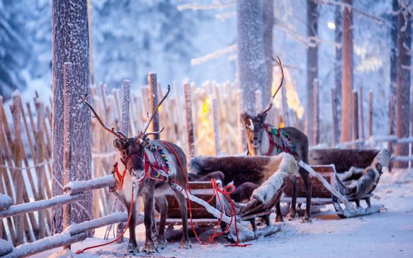 Your optional excursions