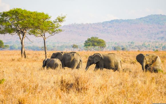 Your itinerary in detail