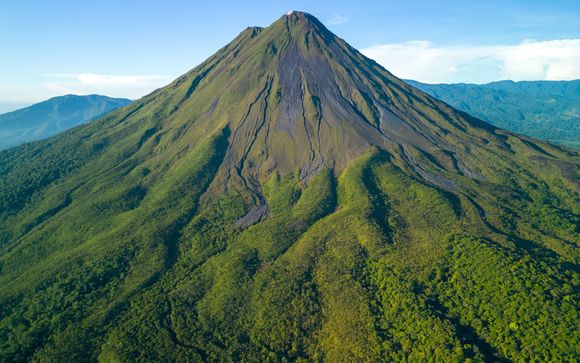 Your optional extras