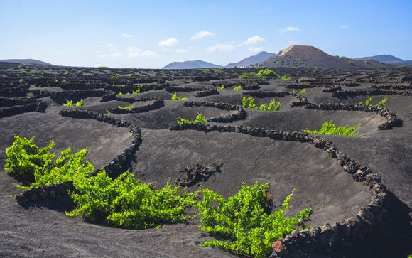 Your optional excursions & extras