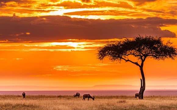 Your itinerary in detail