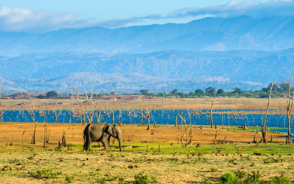 Your optional excursions