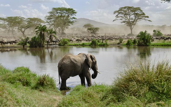 Your itinerary in detail