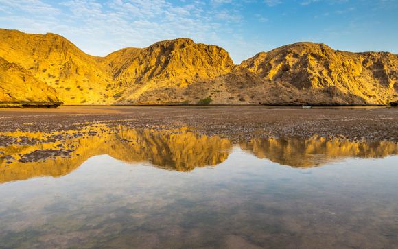 Your included extras (when choosing offer 2)