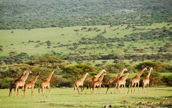 Your itinerary in detail