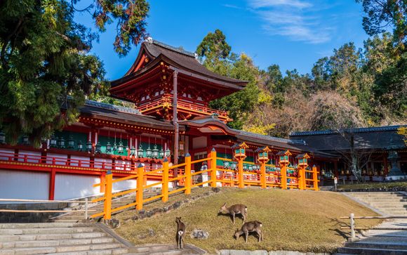 Your itinerary in detail