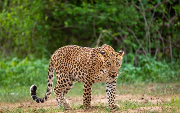 Your excursions & activities