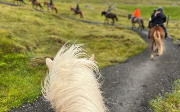 Your optional excursions