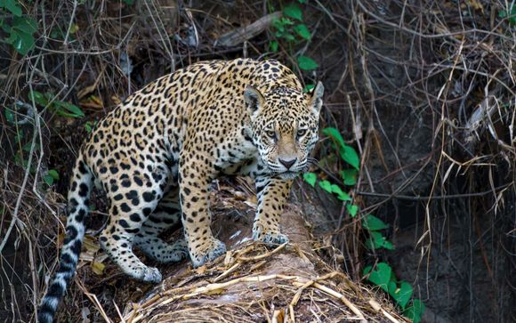 Your itinerary in detail