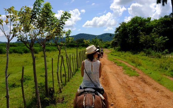 Your optional excursions