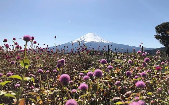 Your optional excursions