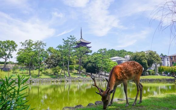 Your optional excursions